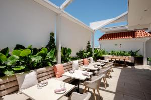 alma san juan adults only