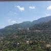 kandaghat
