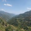kandaghat