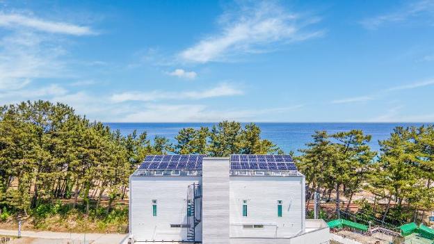 samcheok migaloo pool villa pension