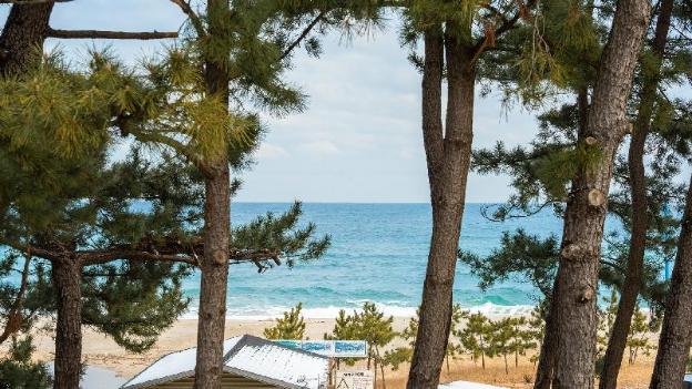 samcheok migaloo pool villa pension