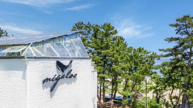 samcheok migaloo pool villa pension