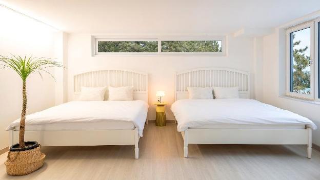 samcheok migaloo pool villa pension