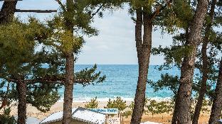 samcheok migaloo pool villa pension