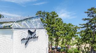 samcheok migaloo pool villa pension