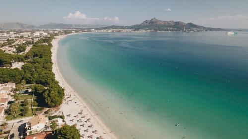 hotel ivory playa sports and spa