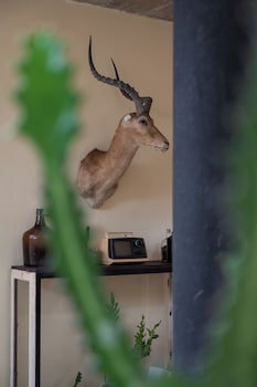 tropicalito villa on the beach