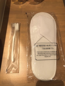 ohwa hostel minowa station