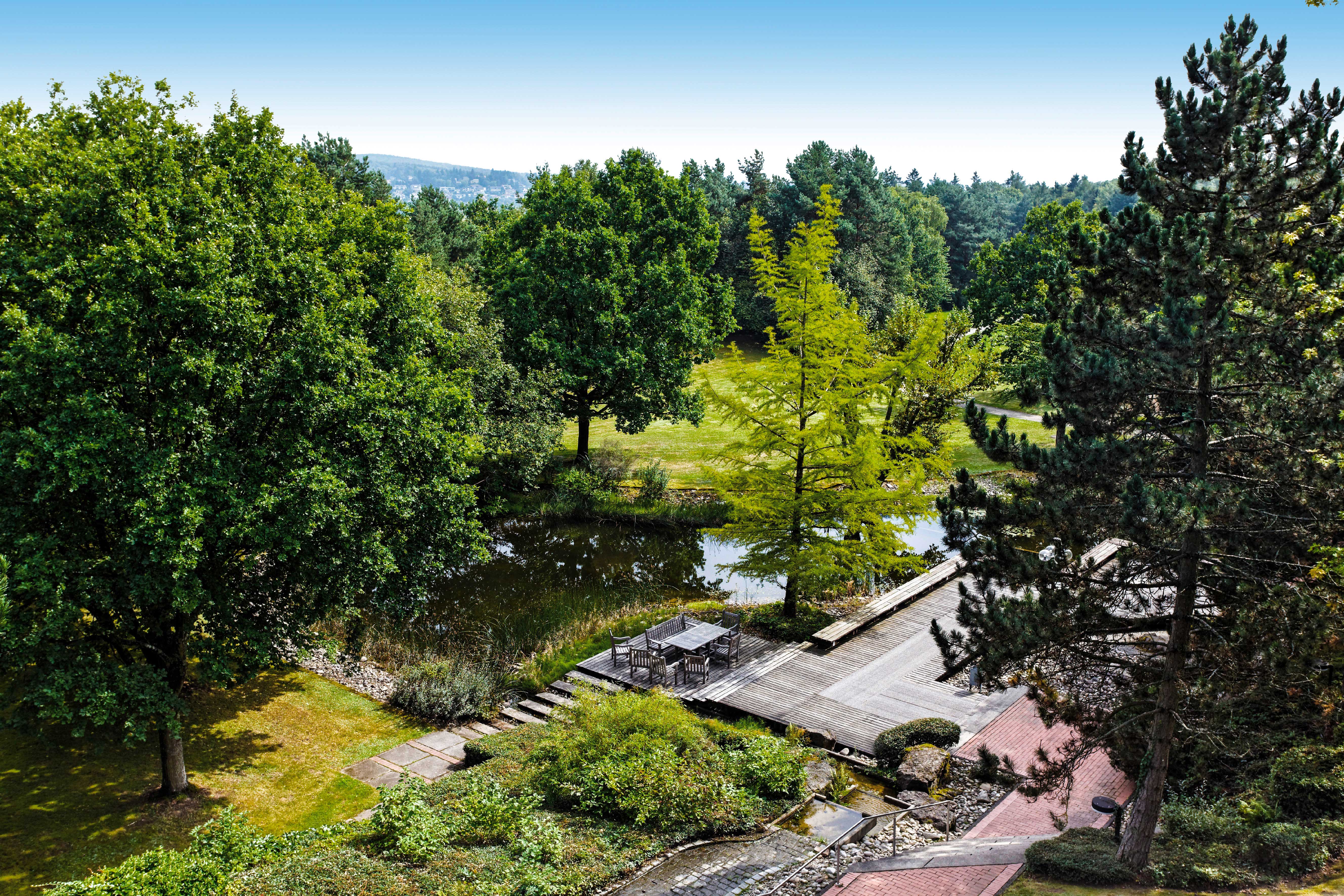 koenigstein im taunus