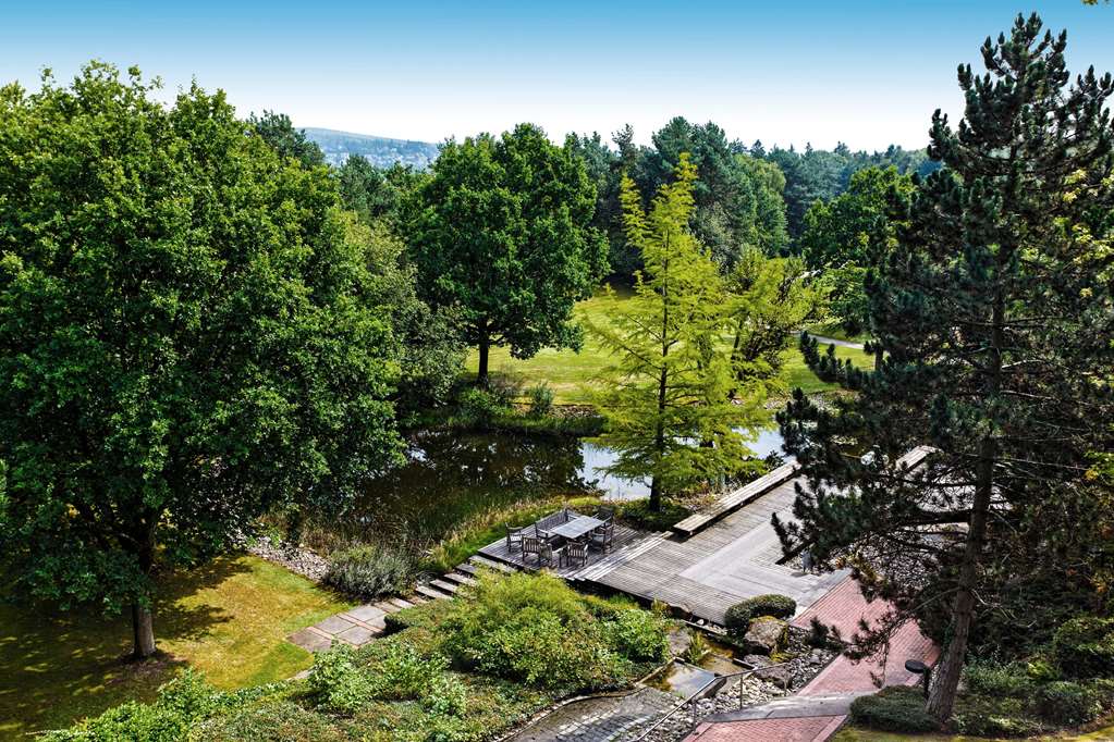 koenigstein im taunus