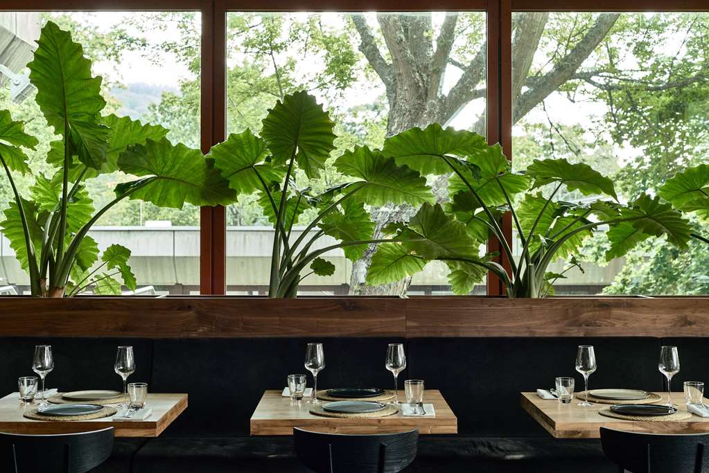 koenigstein im taunus