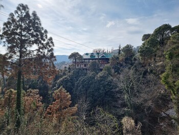nature nest by nomad hotels