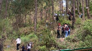 Pine Trails Jungle Camp,,2 star