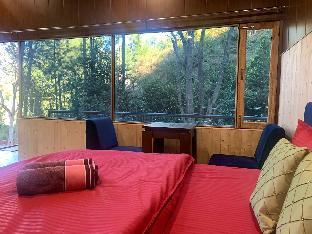 Pine Trails Jungle Camp,,2 star