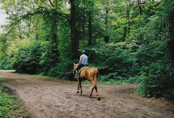 best western hotel les beaux arts