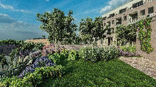 san miguel de allende