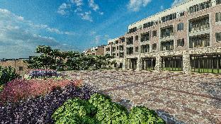 san miguel de allende