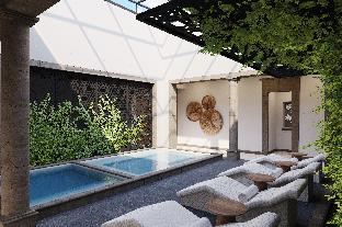 san miguel de allende