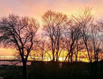 Braeside Country Inn,Pictou>>New Glasgow,4 star
