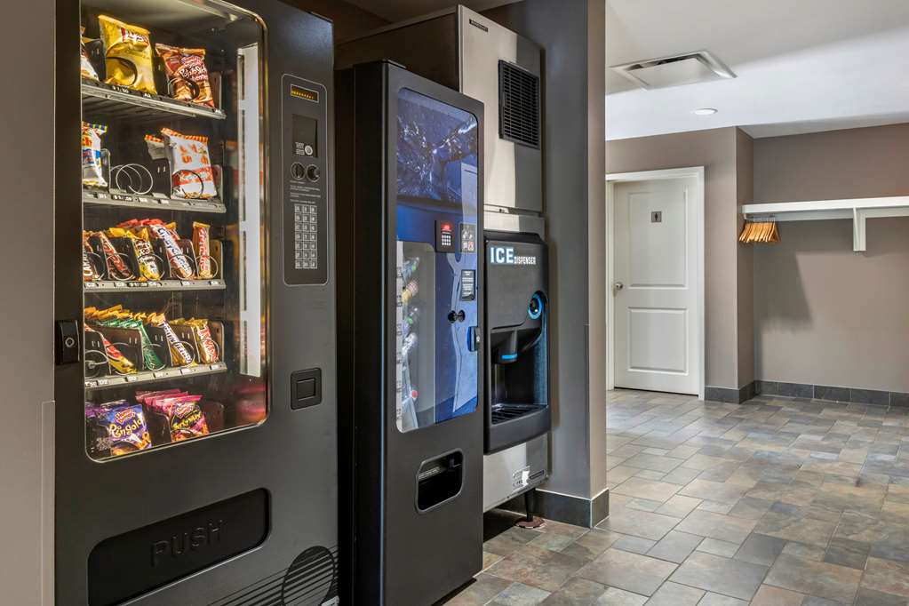 quality inn and suites quispamsis