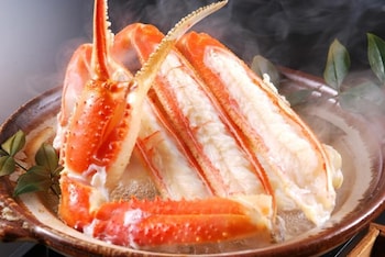 toyooka