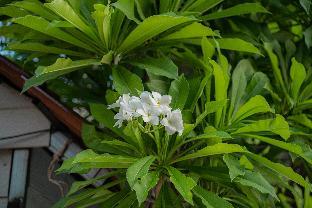 ahha boutique kampot