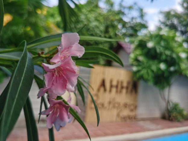 ahha boutique kampot