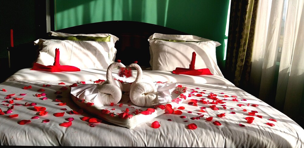 alexander hotel and tours