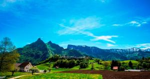 gruyeres