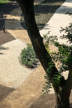 valkenburg aan de geul