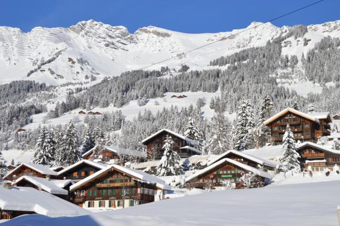 hotel les sources les diablerets suisse