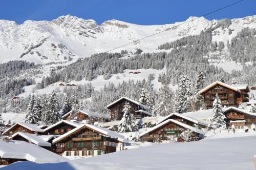 hotel les sources les diablerets suisse