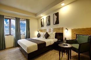 saltstayz select nehru place and new friends colony