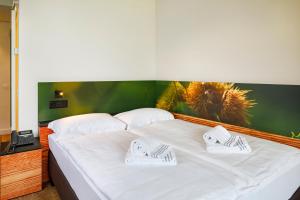 hotel bellinzona sud swiss quality