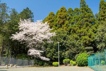 higashi kumamoto business center