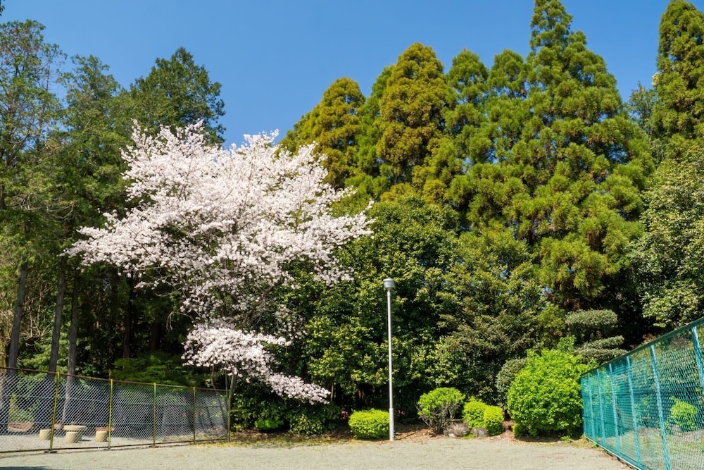 higashi kumamoto business center