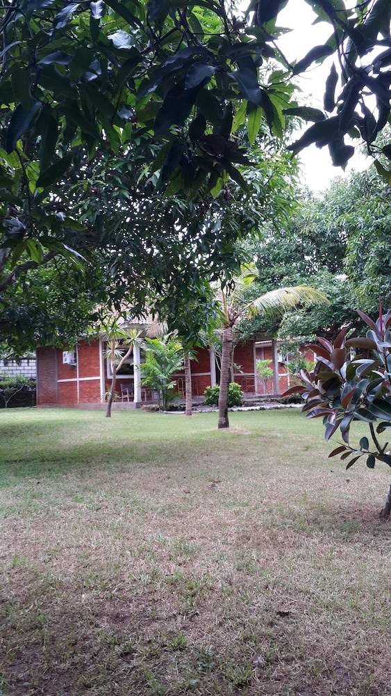 medori putih homestay