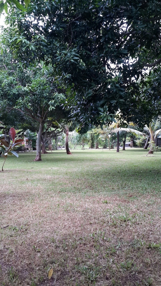medori putih homestay