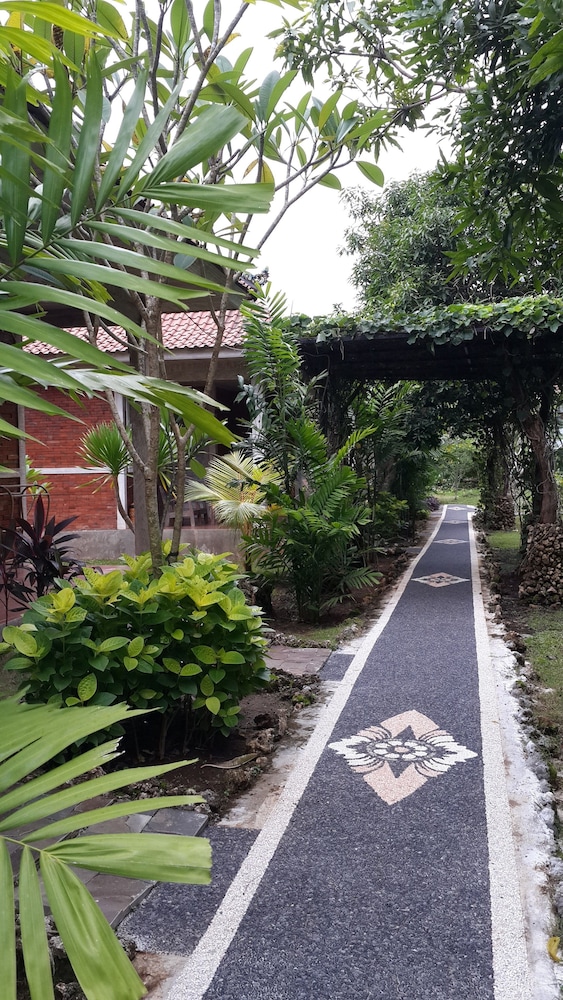 medori putih homestay