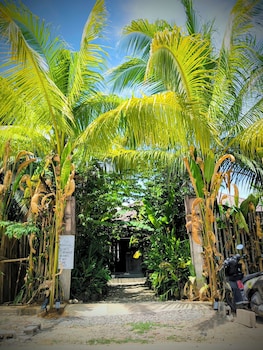 the ohm siargao