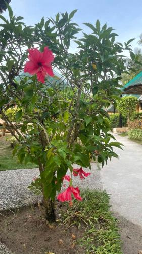 victory seaside home