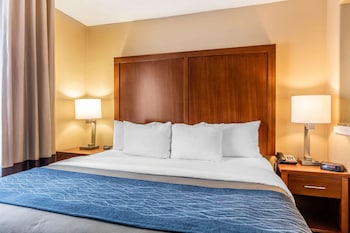 comfort inn and suites airport american way
