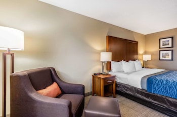 comfort inn and suites airport american way
