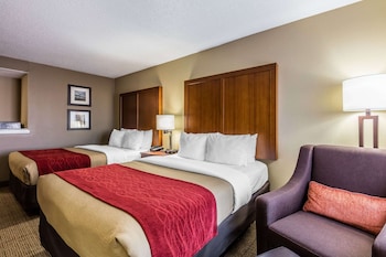 comfort inn and suites airport american way