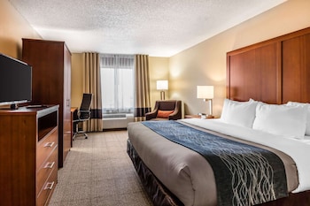comfort inn and suites airport american way
