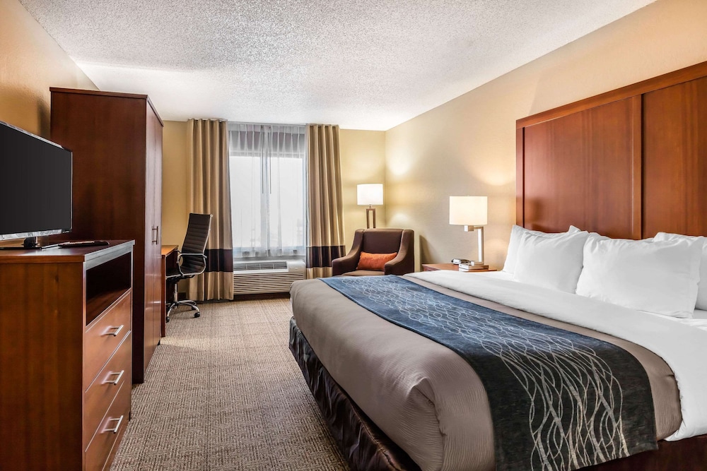 comfort inn and suites airport american way