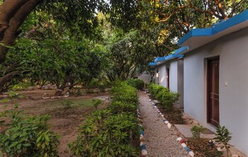 shekhar corbett by first crown