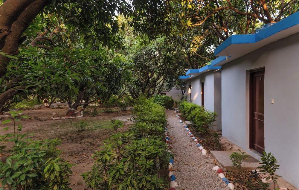 shekhar corbett by first crown