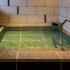 kurobe unazuki onsen yamanoha
