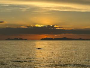 Coco Canopy Boutique Resort,,3 star